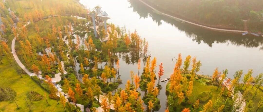 Yuan Beach Park aerial view