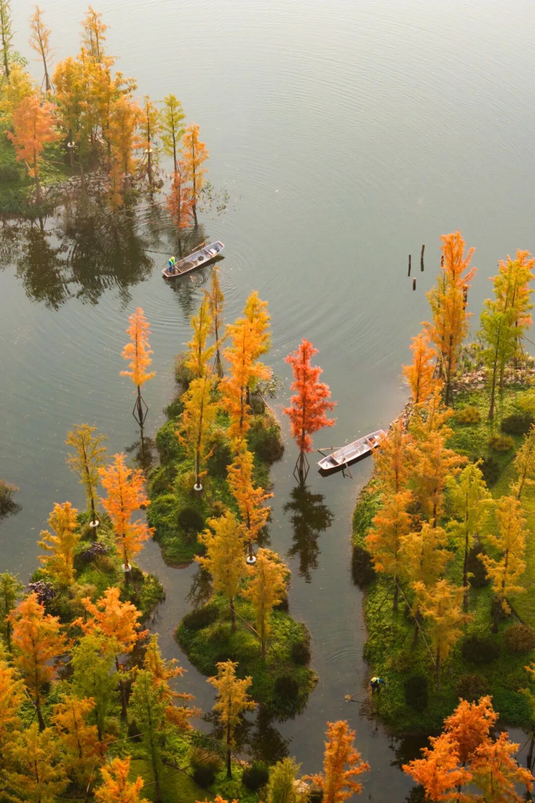 Park landscape