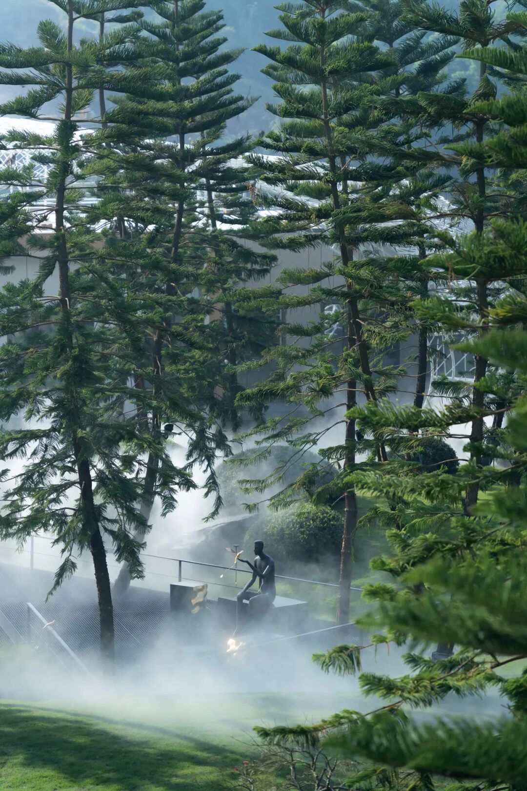 Floating fantasy forest