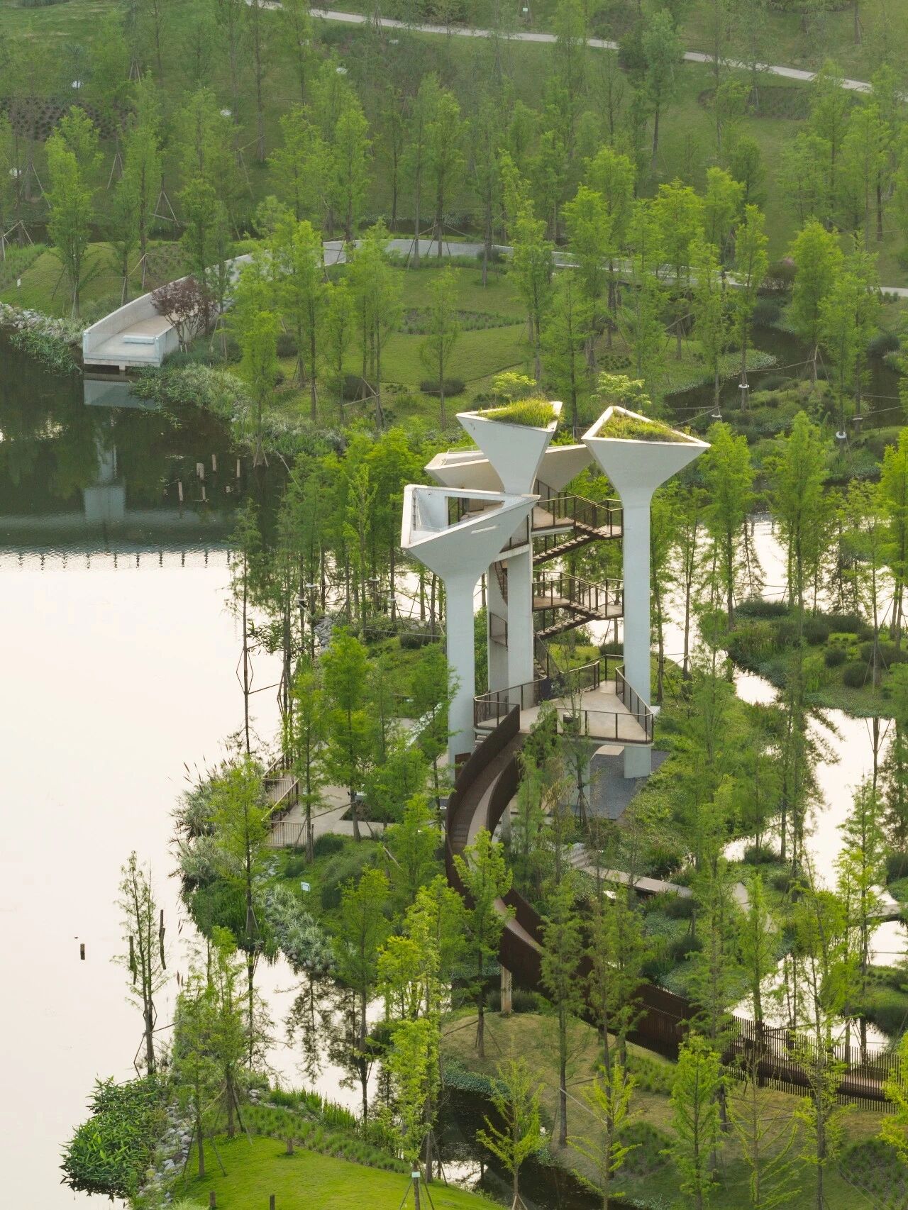 Summer park view